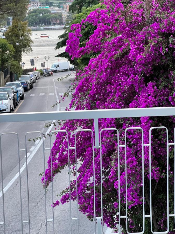 ראפאלו Welcome Riviera -Torre D'Avorio Appartamento 126 Mq Piu'Terrazzo25 Mq - Totalmente Rinnovato- 250 M Dal Centro - Parcheggio A Pagamento 15 Euro Al Giorno Da Prenotare In Anticipo Salvo Dispo -Parking At 15 Euro Per Day To Be Booked In Advance If Avai מראה חיצוני תמונה